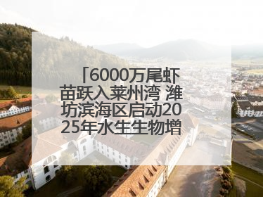 6000万尾虾苗跃入莱州湾 潍坊滨海区启动2025年水生生物增殖放流工作