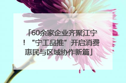 60余家企业齐聚江宁！“宁工品推”开启消费惠民与区域协作新篇