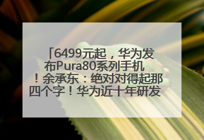 6499元起，华为发布Pura80系列手机！余承东：绝对对得起那四个字！华为近十年研发投入12490亿元