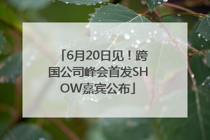 6月20日见！跨国公司峰会首发SHOW嘉宾公布