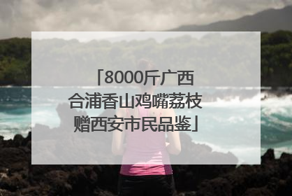 8000斤广西合浦香山鸡嘴荔枝赠西安市民品鉴