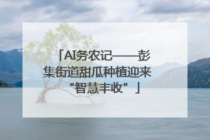 AI务农记——彭集街道甜瓜种植迎来“智慧丰收”