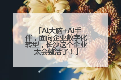 AI大脑+AI手伴，面向企业数字化转型，长沙这个企业太会整活了！