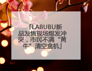 LABUBU新品发售现场爆发冲突，市民不满“黄牛”清空盒机